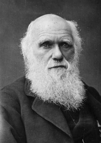 Karol Darwin